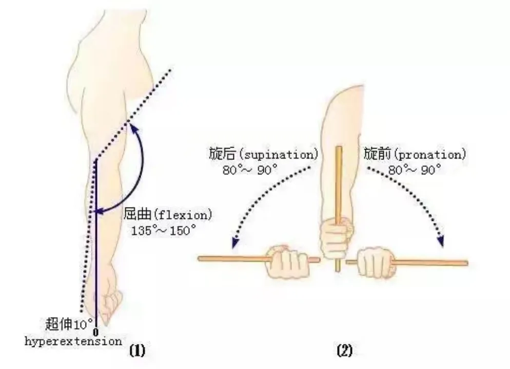 Elbow, wrist, and finger movement