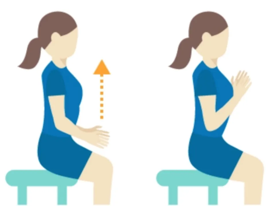 Seated elbow flexion and extension exercise