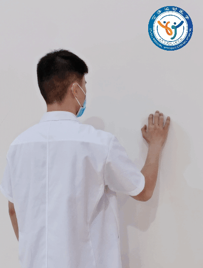 Wall climb for shoulder flexion
